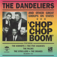 DE 703 album artwork