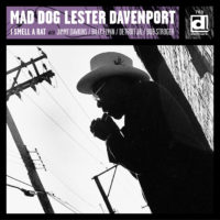 DE 763 album artwork