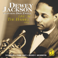 DE 246 album artwork